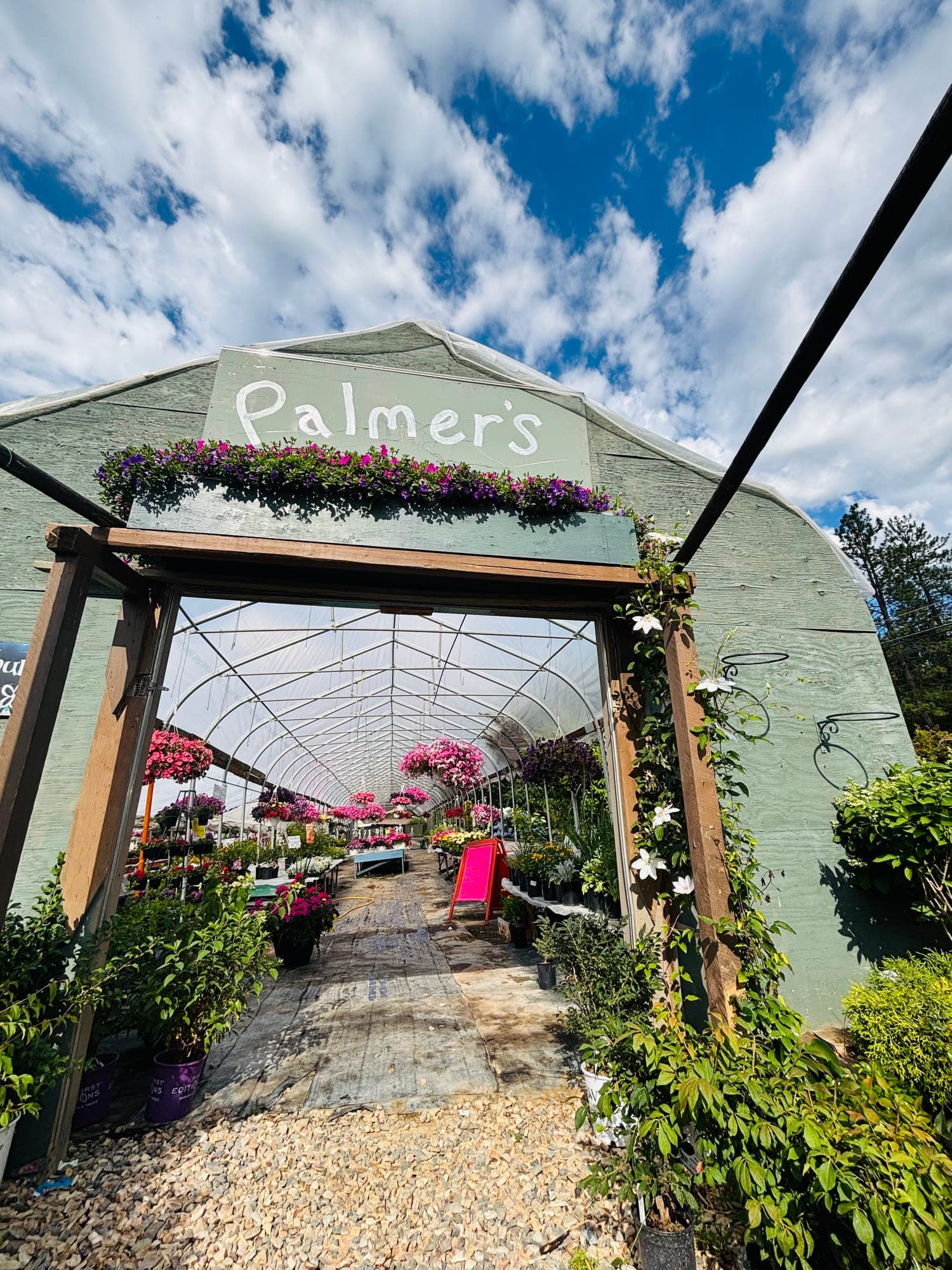 The Palmer's greenhouse entrance under a blue sky, framed by hanging baskets and flowering shrubs
